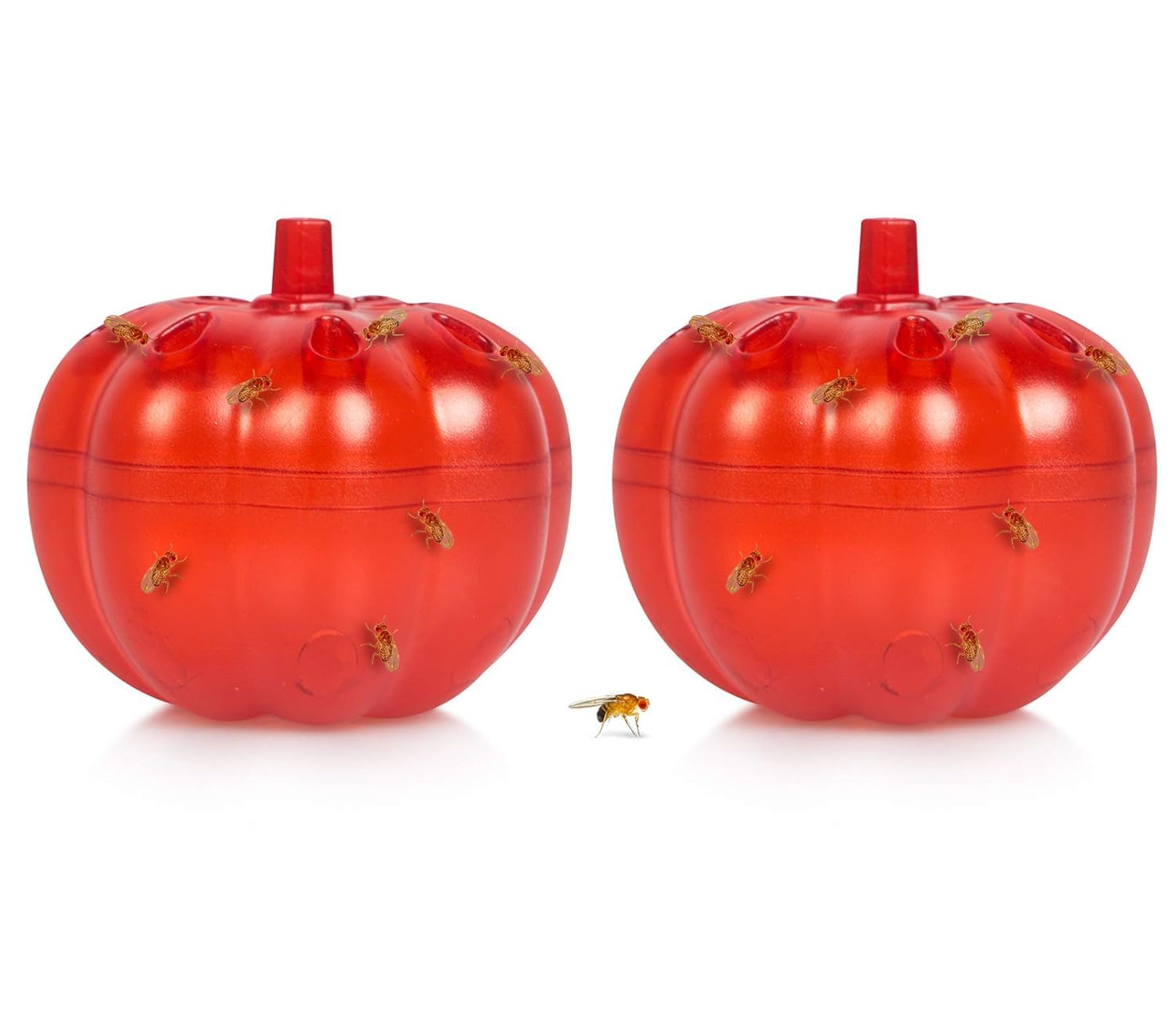 MRP ENTERPRISE Fruit Fly Trap, Reusable Fruit Fly Killer Indoor Gnat Trap, Easy to Use Non-Toxic Safe Lure Fly Catcher for Food Areas Indoor Insect Fruit Fly Traps Pumpkin (Pack of 2)