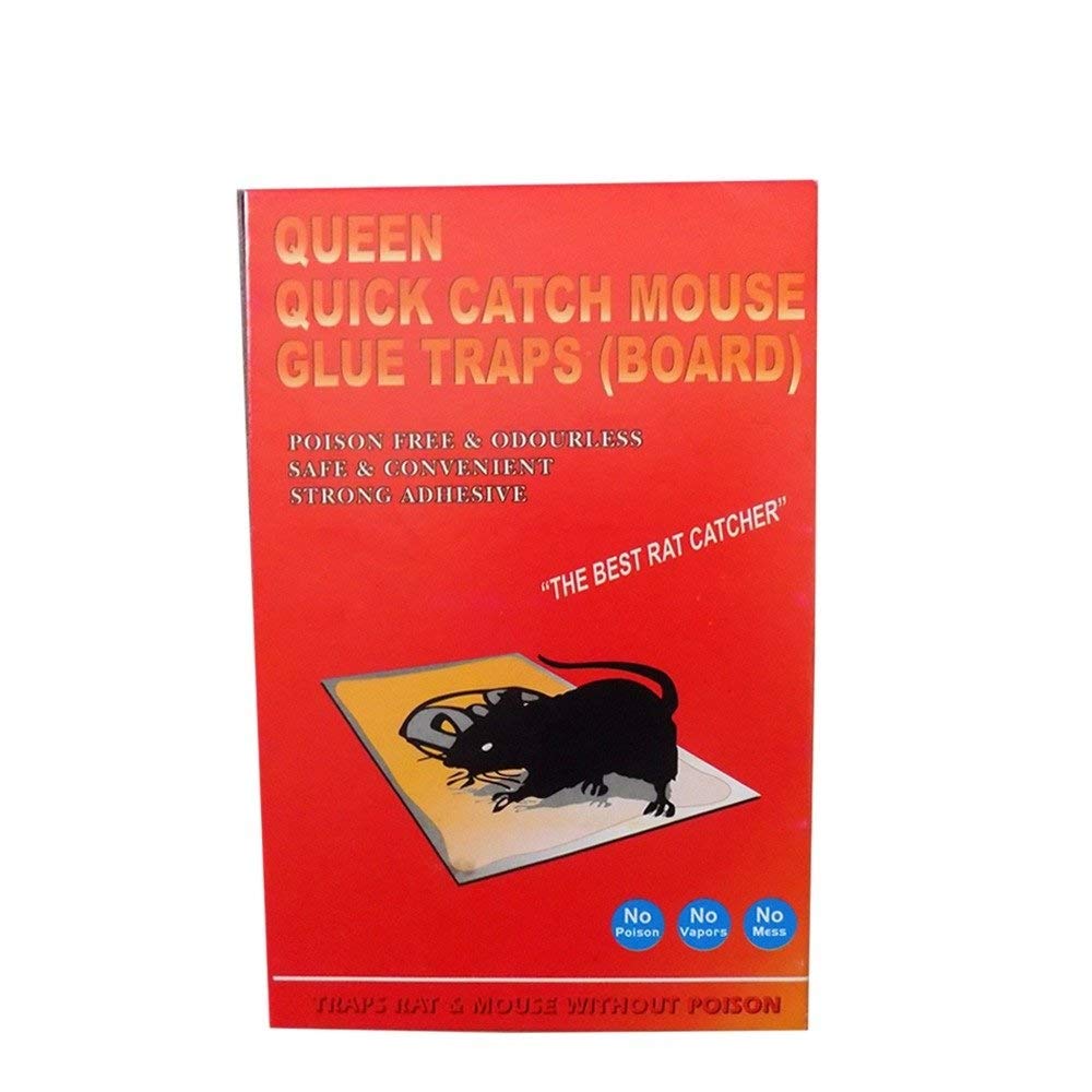 kesig Moolten Catch Mouse/Rat Killer Traps - Pack of 1(Multi)