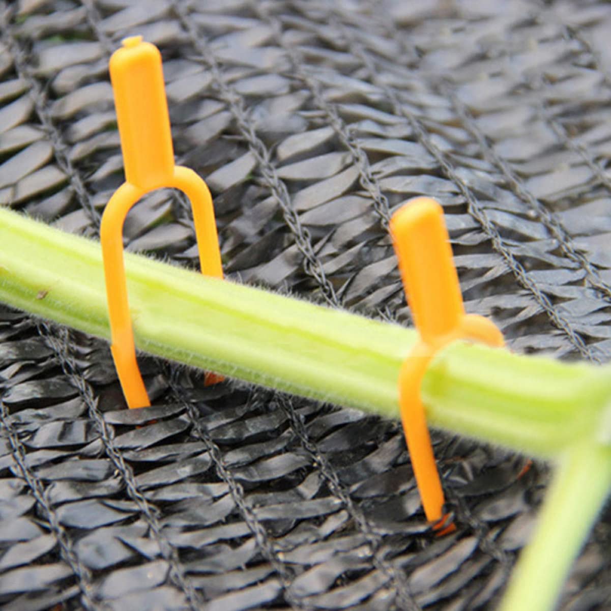 Spilli Per Piante Da Giardino – 100 Pezzi – Clip Di Fissaggio In Plastica Riutilizzabili – Per Viti Di Anguria, Pomodori, Fragole E Fiori - 4