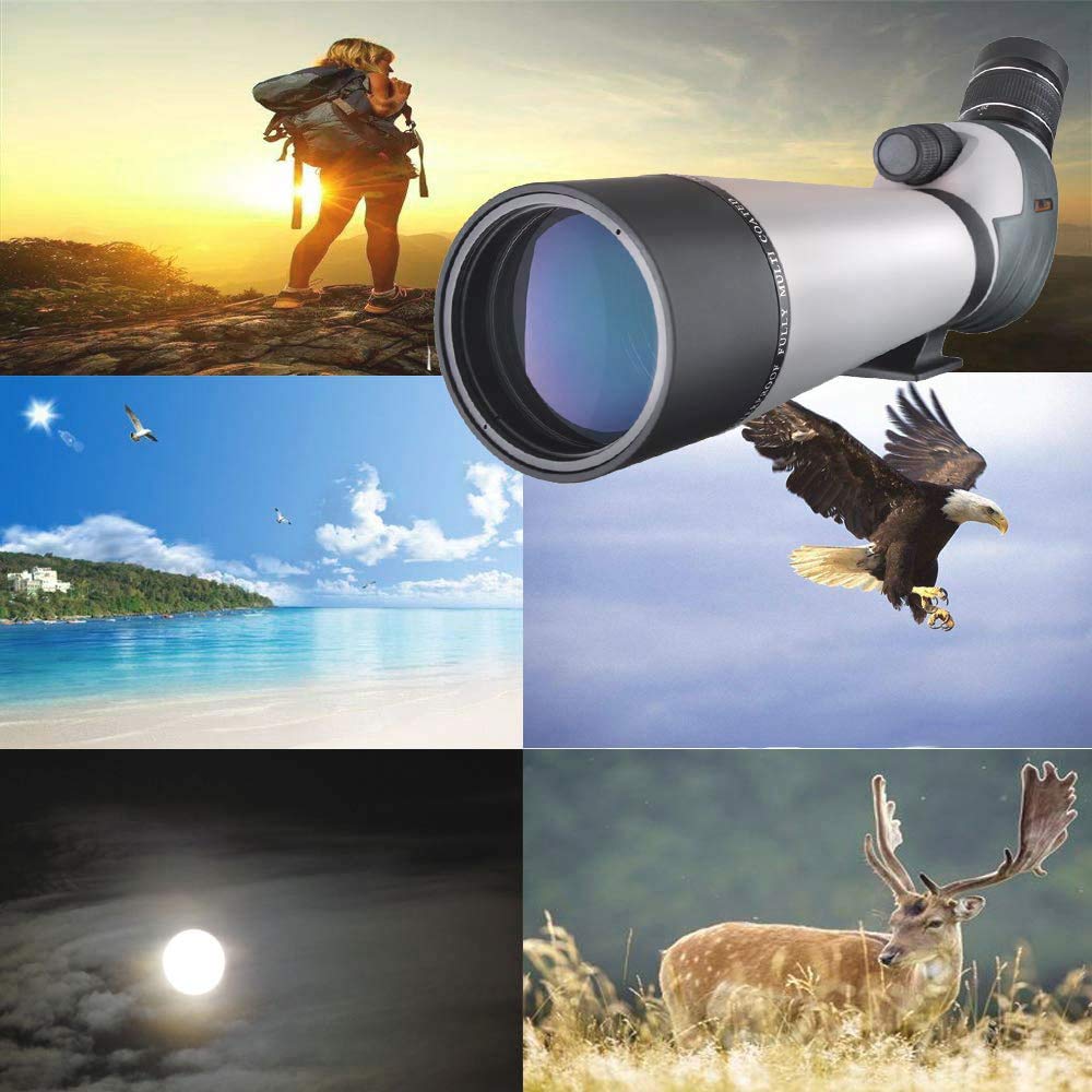 Landove Telescopio impermeable para observación de aves, tiro con arco, actividades al aire libre, con trípode y adaptador de Digiscoping, obtén la belleza en la pantalla