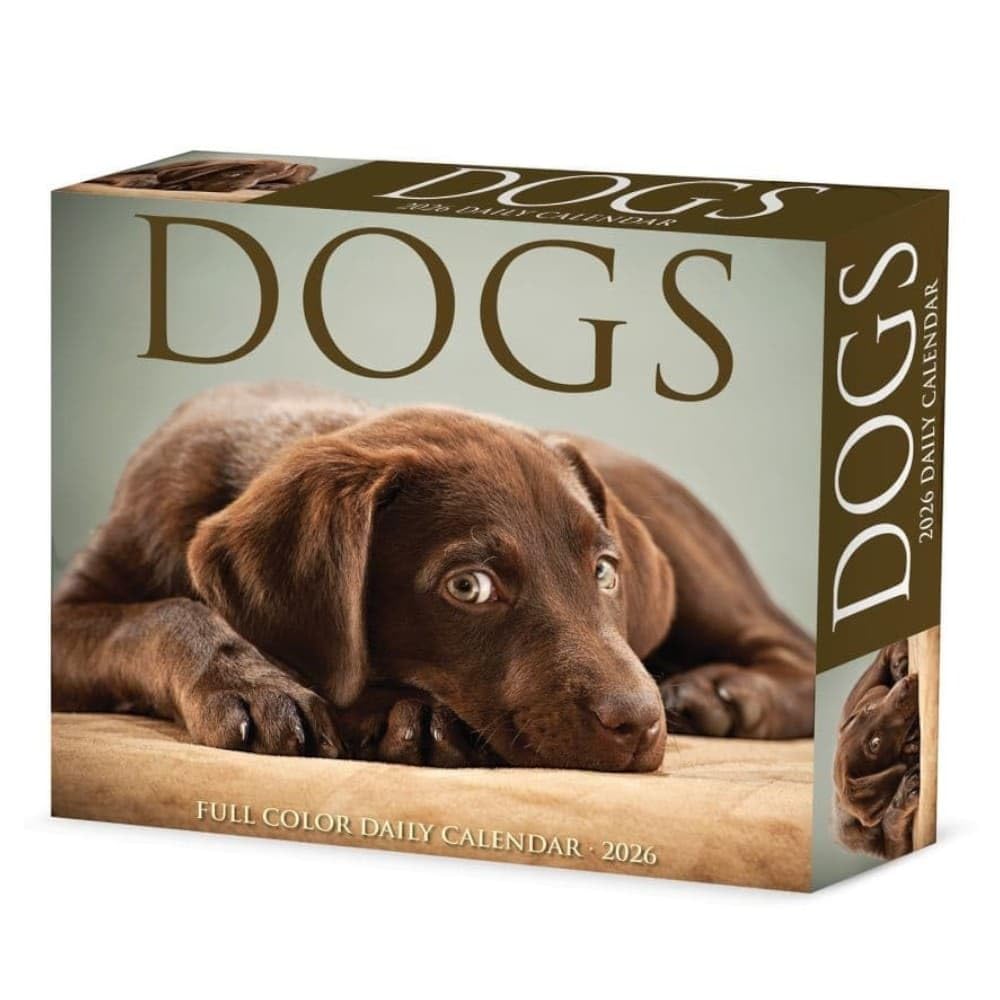 Dogs 2026 Box Calendar