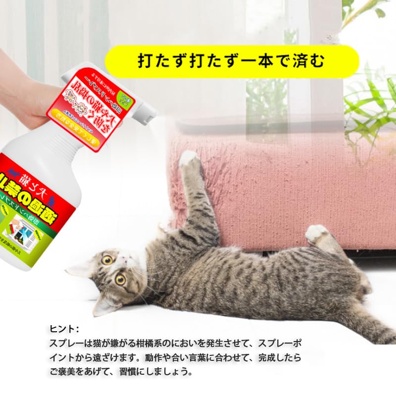 Amazon.co.jp: 犬猫立入禁止速効スプレー 500ml 大容量 屋外