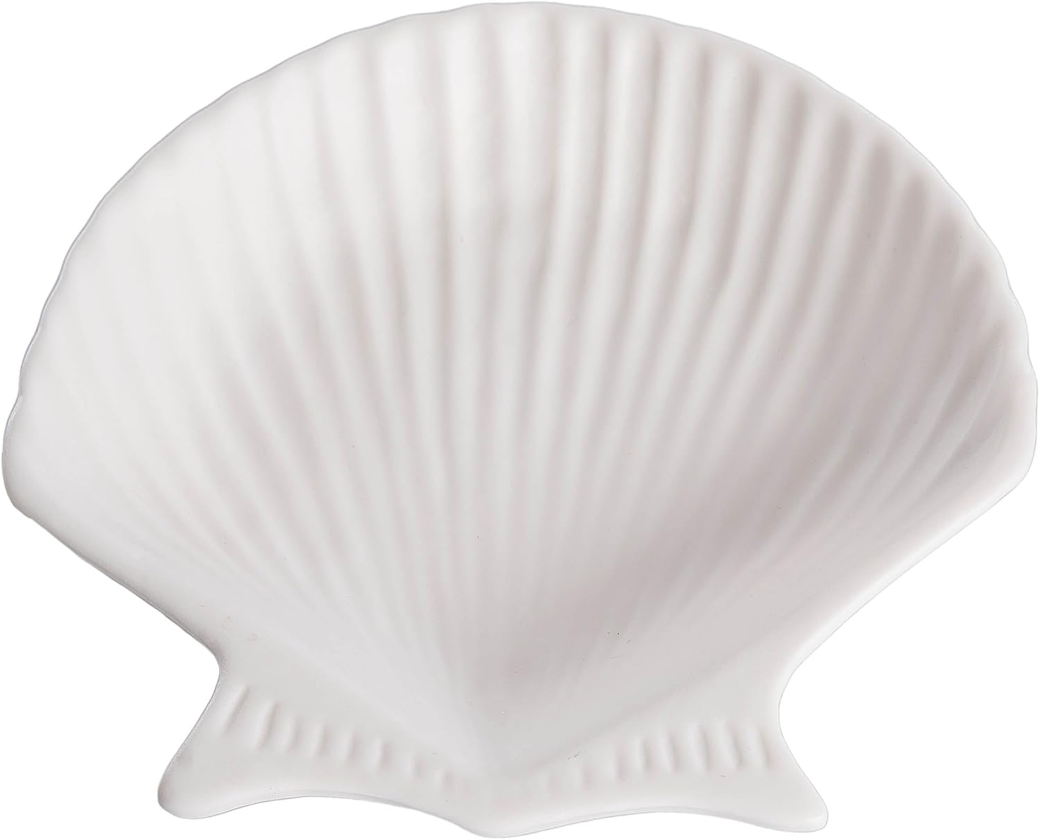 Beachcombers 0.98" H x 6.3" L x 6.3W Fan Shell Novelty Decorative Dish Plate White