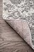 nuLOOM Misty Shades Deedra Accent Rug, 2' x 3', Grey