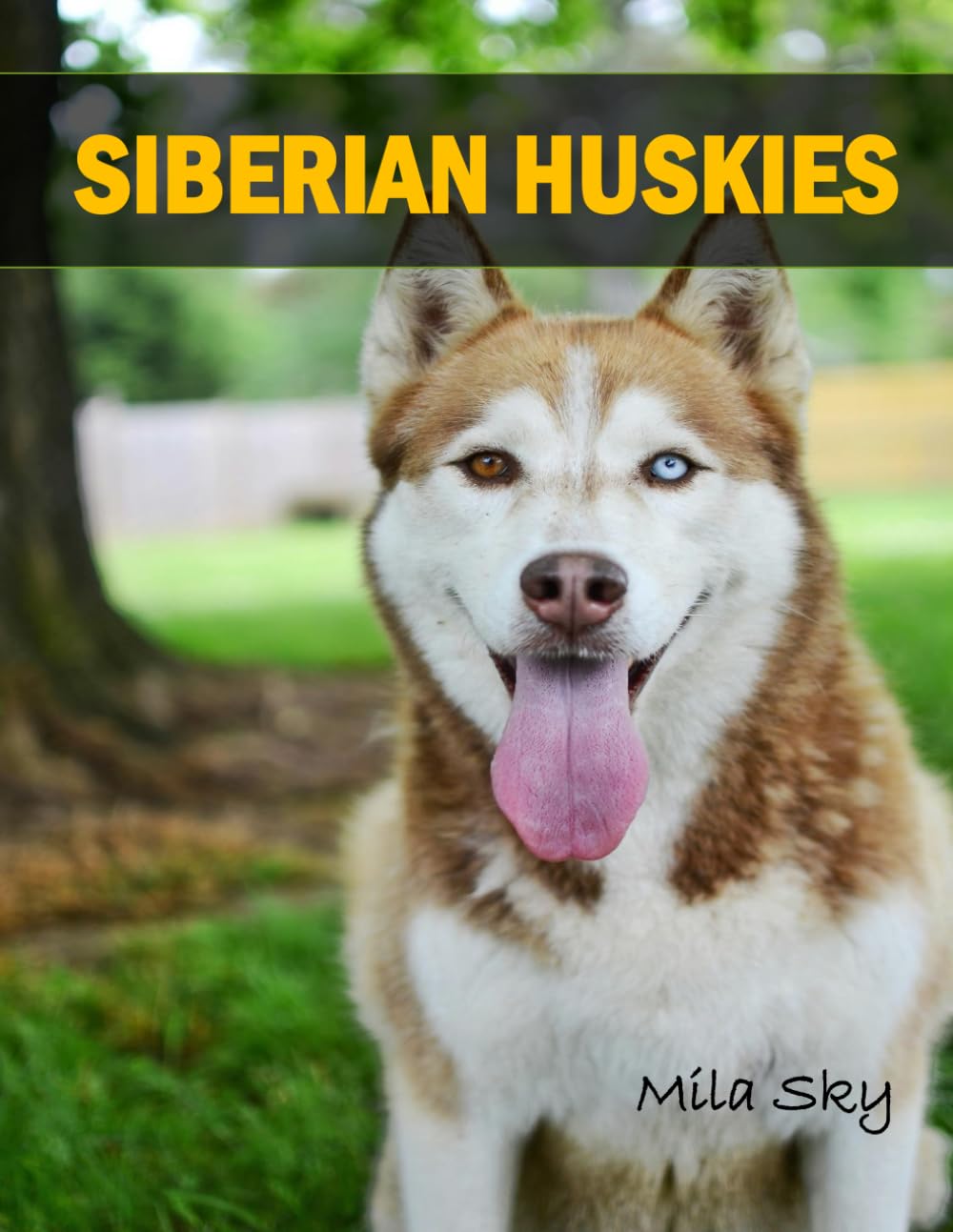 Siberian Huskies: A Coffee Table Photo Book for Animal Lovers