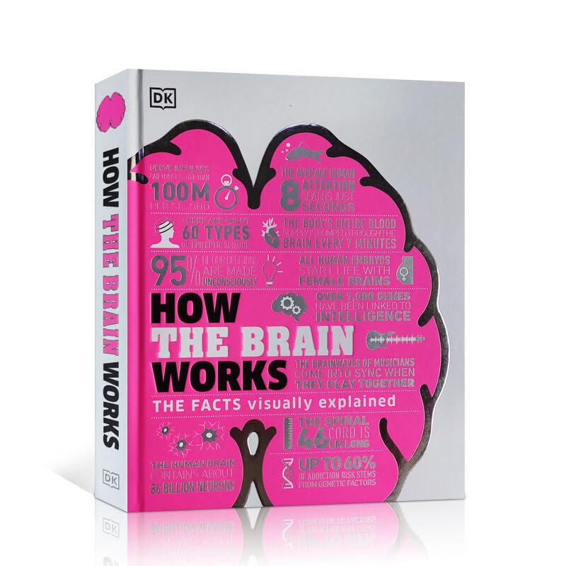 DK How The Brain Works The Facts Visually Explained Science Books