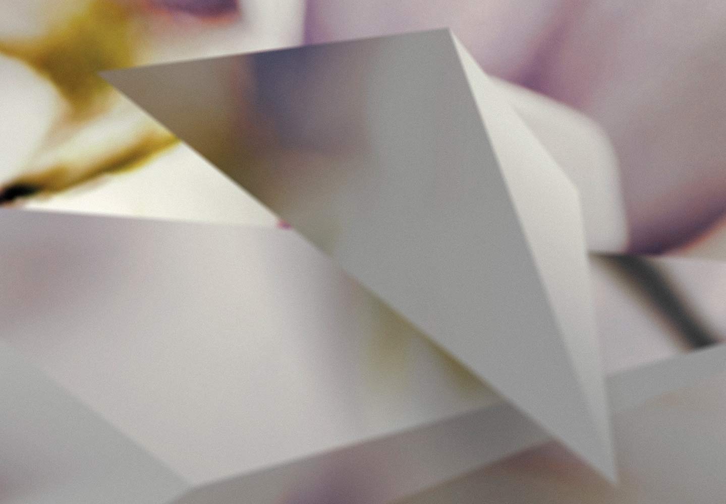 murando Fototapete selbstklebend Abstrakt 490x350cm - Foto Tapete Tapetenfolie Möbelfolie Wandverkleidung Wandtapete Motivtapeten Bildtapete Wohnzimmer 3d Effekt Modern Blumen Magnolien rosa weiß 3D