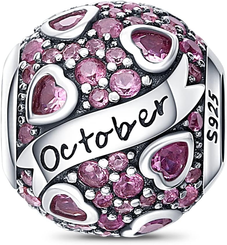 925 Sterling Silver Birthstone Charms fits Charms Bracelets for Woman,with 5A Cubic Zirconia Dangle Pendant Bead,Happy Birthday Charms for Bracelet and Necklace Valentine's Day Mother's Day Gift