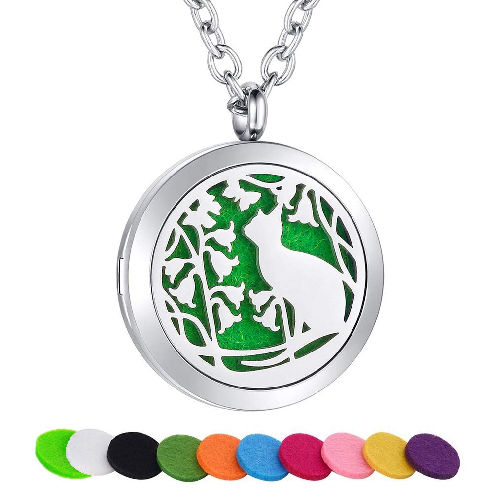 Essential Oil Diffuser Necklace Aromatherapy Locket Pendant Stainless Steel Necklace for Women Men Aroma Therapy Perfume Necklace Charms Pendant Hypo-Allergenic Jewelry Gift with 10 Refill Pads
