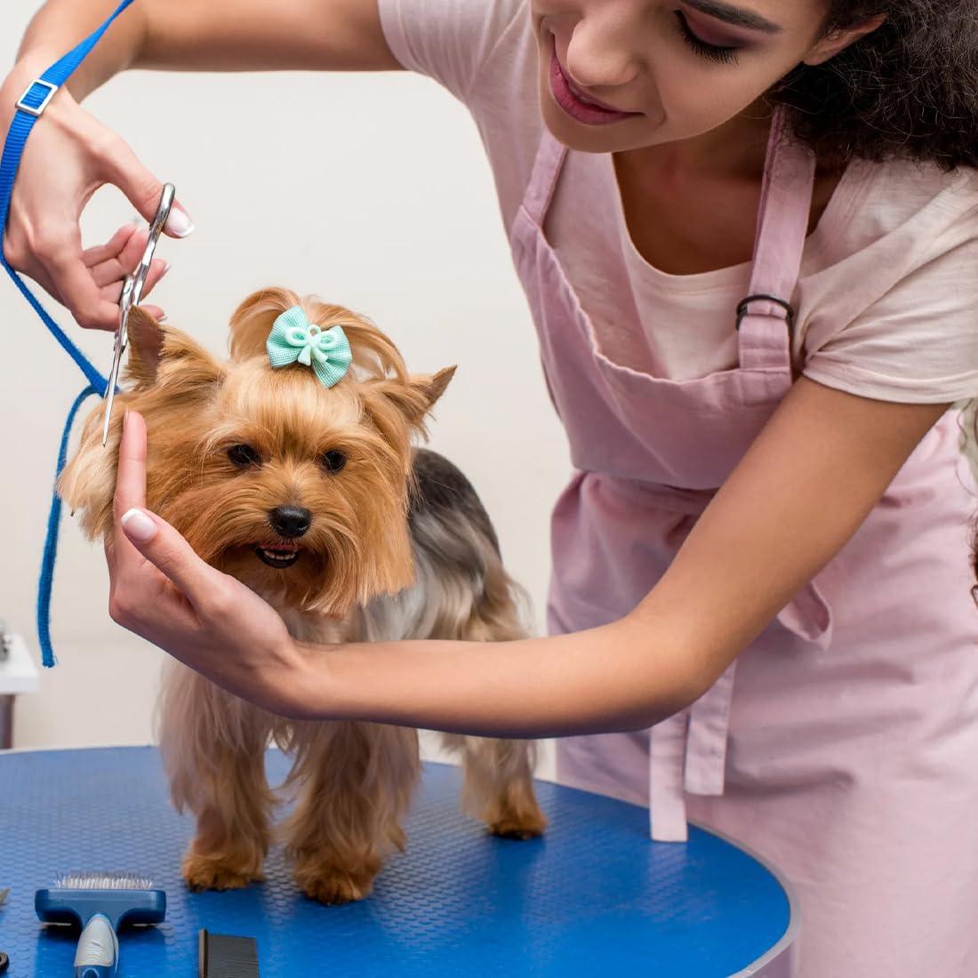 Lot de 40 nœuds pour chiens avec élastiques, nœud de poils de chiens, accessoire pour chien et accessoires de toilettage pour l'utilisation quotidienne des animaux domestiques