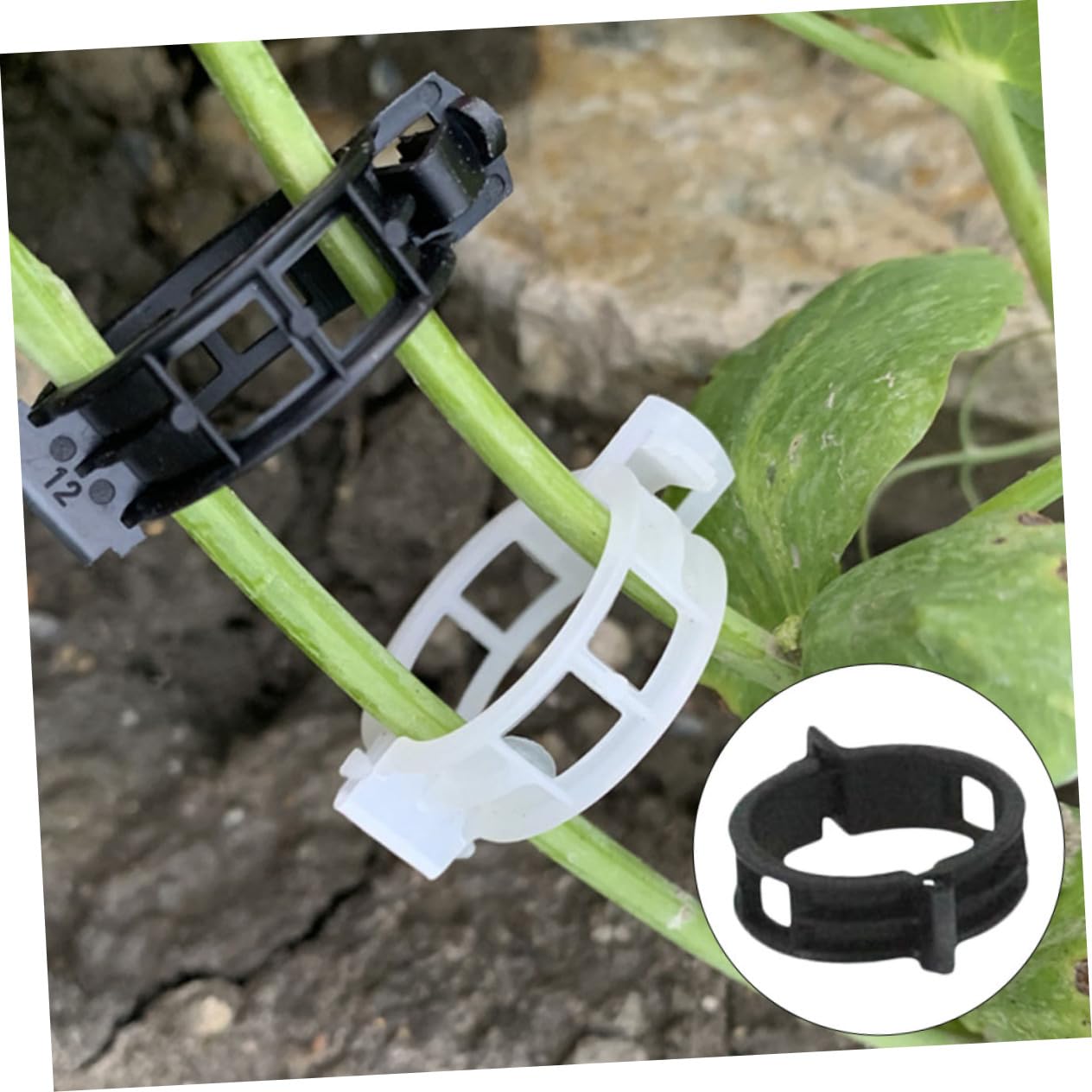 ibasenice 500stücke Pflanzenstützclips Für Tomaten Klammern Unterstützung Von Gartenpflanzen Wiederverwendbar Einfach Zu Bedienen Für Und Kletterpflanzen