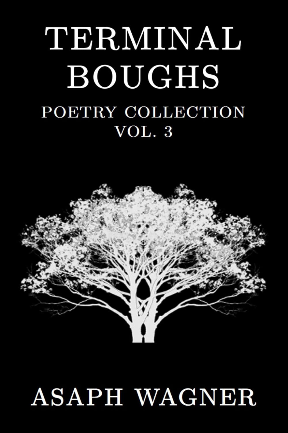 Terminal Boughs: Poetry Collection Vol. 3