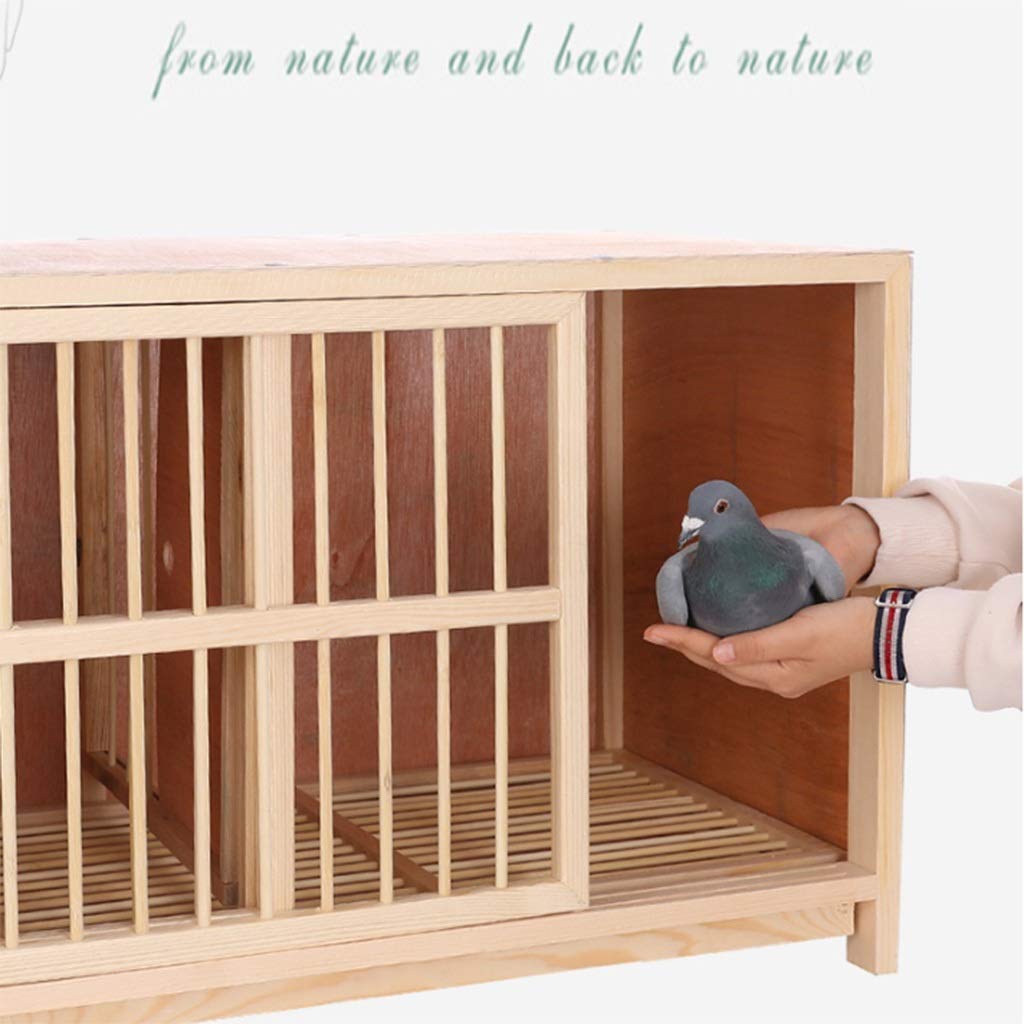 Transportín para pájaros a Prueba de Humedad - Jaula de Pino Natural Semi-sombreada para Palomas, 80x40x45 cm - Hogar Duradero, Espacioso y cómodo para Tus Amigos emplumados