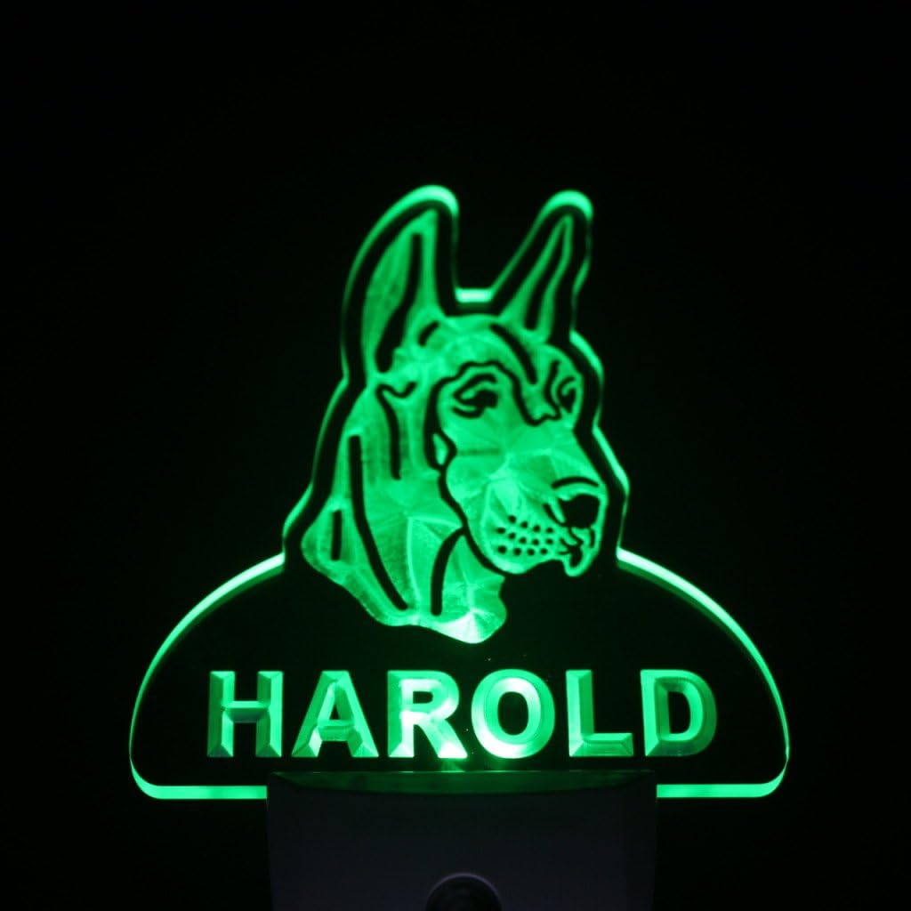 ADVPRO ws1070-tm Great Dane Dog Personalized Night Light Name Day/Night Sensor LED Sign