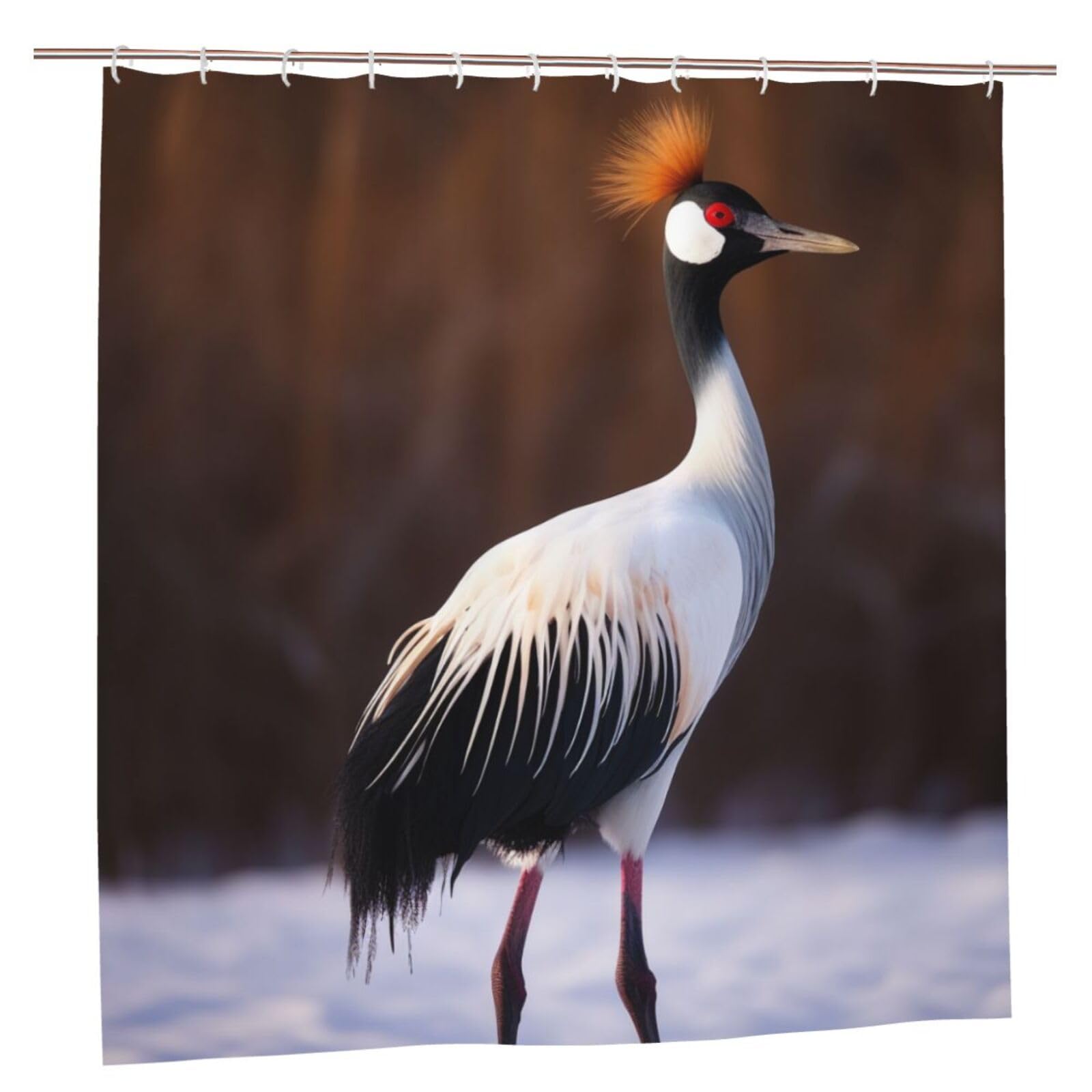 BWWHCCTI Crowned Bird Printed Shower Curtain With 12 Plastic Hooks Opaque Quick Drying Waterproof Shower Curtains Sets For Bathroom 183x183 CM
