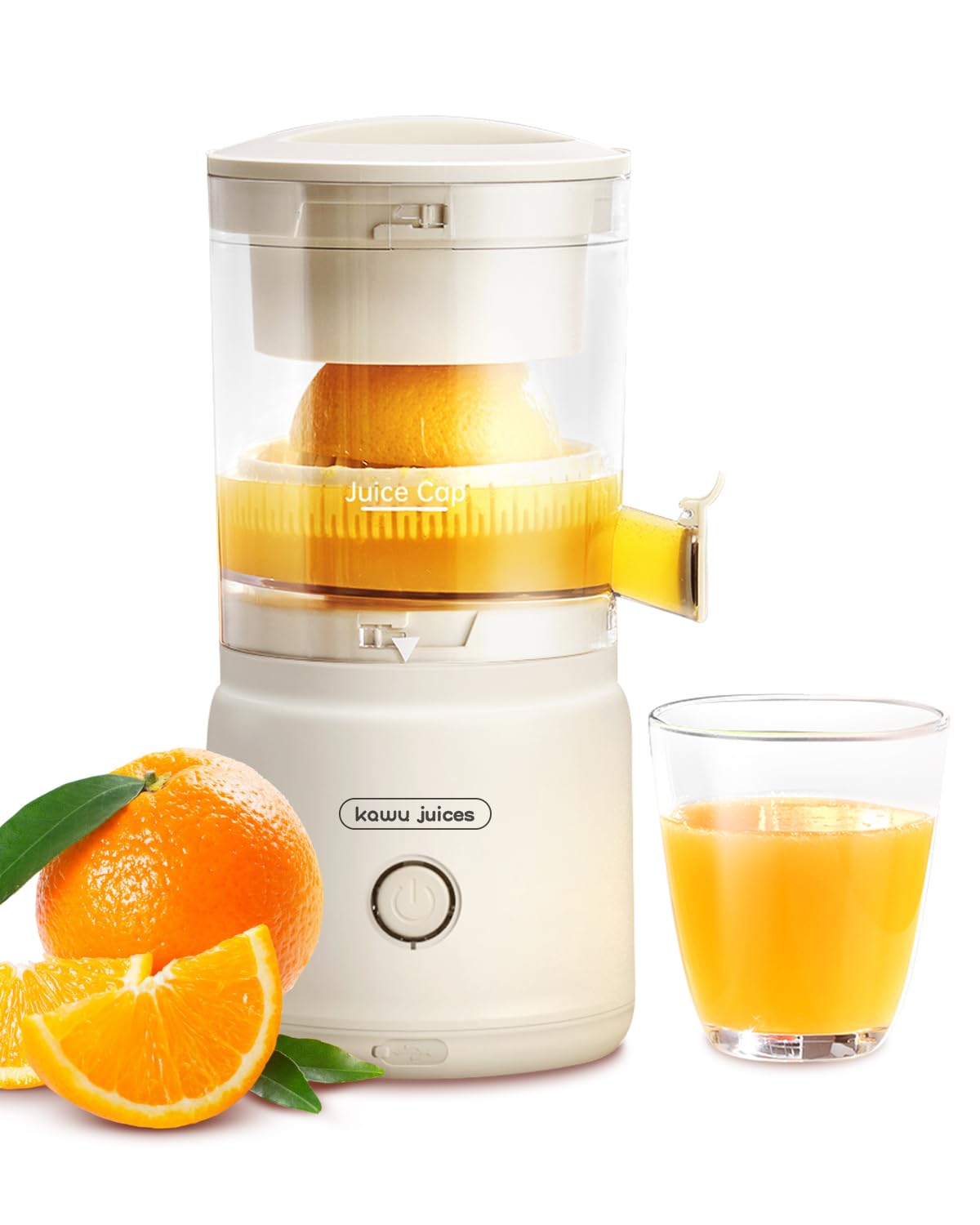 CITRUS英語版 Amazon.com: Professional Brushed Stainless Steel Electric