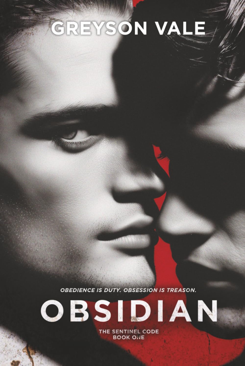 Obsidian: The Sentinel Code Book One