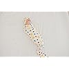 Product Photo 5
