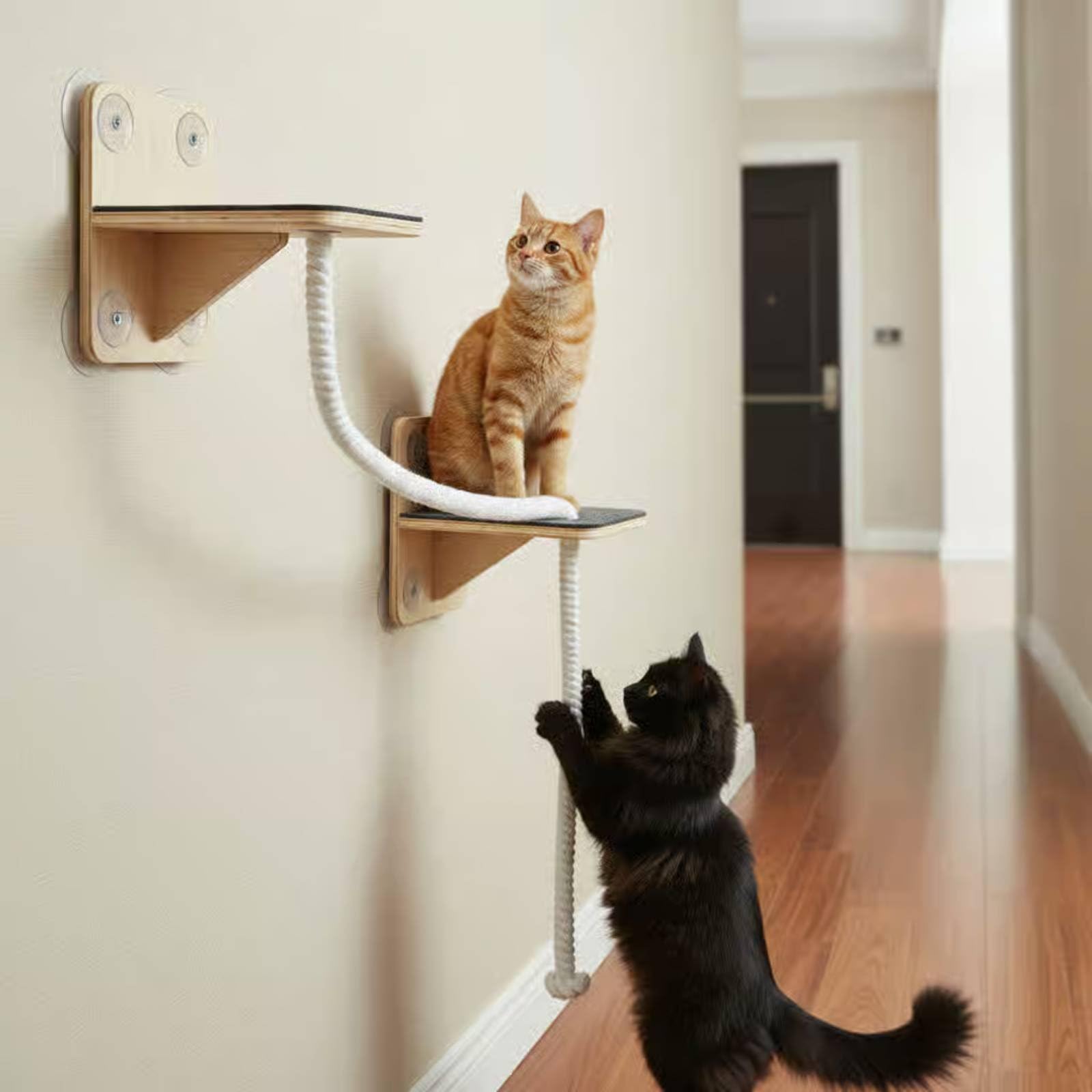Lettino Pensile per Gatto Amaca da Finestra con Struttura a Due Livelli in Rete Traspirante Legno Robusto Soluzione Salvaspazio Adatto a Gatti Interno, Corda Di Sisal
