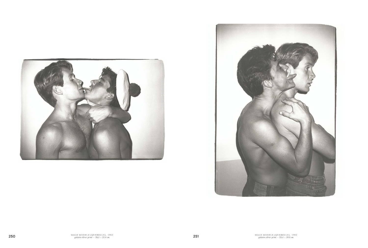 Andy Warhol: Velvet Rage and Beauty