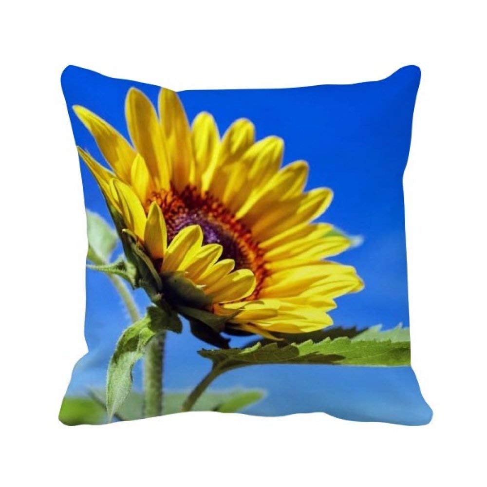 Housse de coussin tournesols bleu ciel déco salon