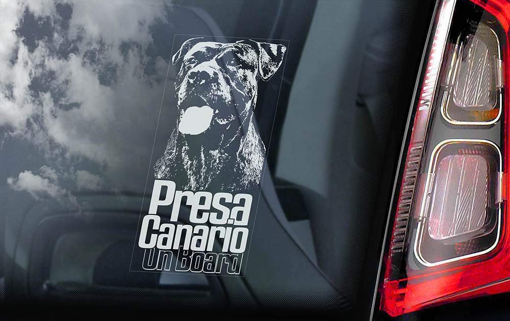 Byron Hoyle Presa Canario On Board Car Decal Window Decal Dog Vinyl Decal Dogo Canary Mastiff Dog Sign Decal Animal Decals Funny Laptop Stickers Bumper Stickers
