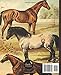Composition Notebook: Beautiful College Ruled Notebook with Vintage Horses Illustration 7.5