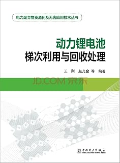 Power waste of resources and sound application of technical books echelon of power lithium battery use and recycling(Chinese Edition)