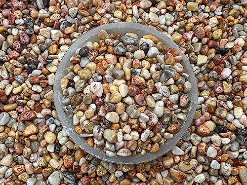 Image of GAF TREASURES 2 oz Lot Natural Crazy Lace Agate Semi Tumbled Gemstone Chips, Crushed Mini Crystals, Undrilled Crystal Chips (Crazy Lace Agate)