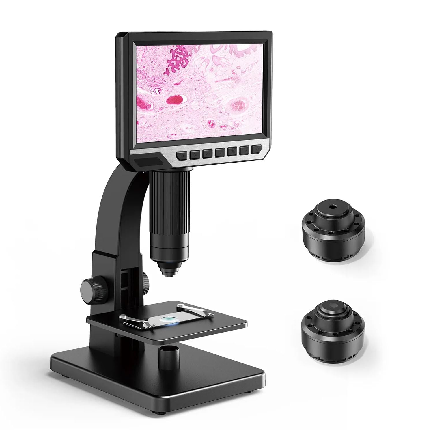 Microscopio digitale LCD 2000X, microscopio da laboratorio USB da 17,8 cm con luci, fotocamera da 12 MP, include scheda da 32 GB per immagini migliorate e osservazione dei dettagli