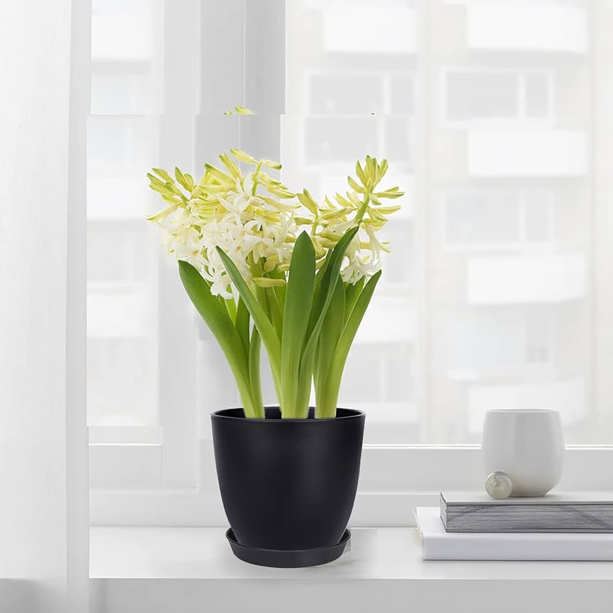 植木鉢 6個セット プラスチック製 楽天市場】【6個セット】植木鉢 プラスチック おしゃれ 鉢 樹脂