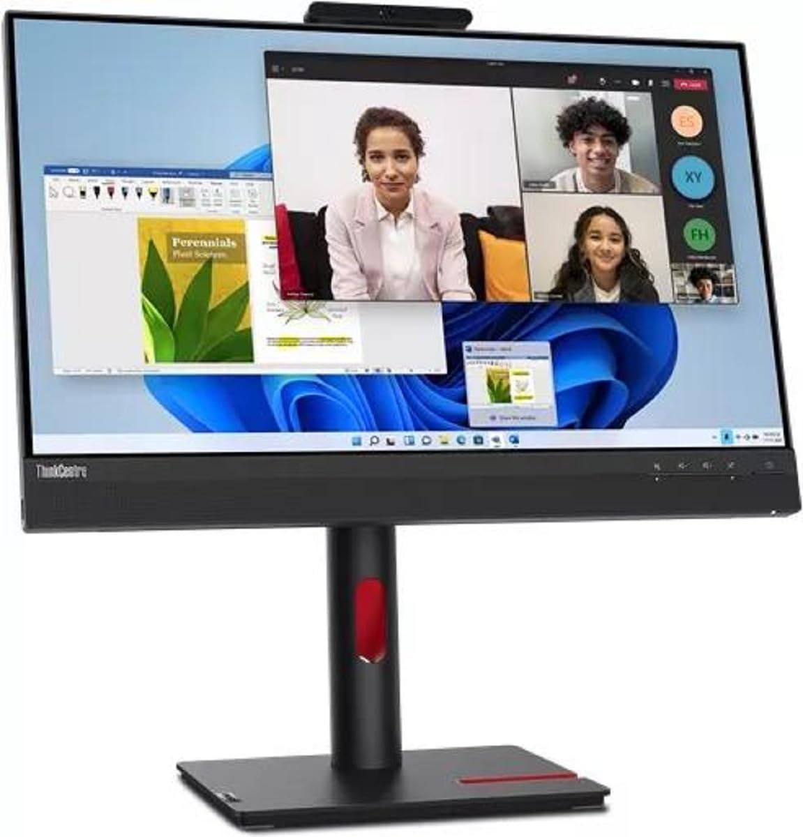 LENOVO Lenovo ThinkCentre Tiny in One noir corbeau