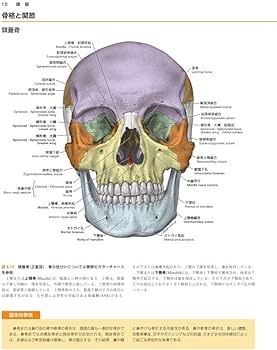 ソボッタ解剖学アトラス 3巻セット（第1巻、2巻、3巻） ソボッタ解剖学アトラス 3巻セット（第1巻、2巻、3巻） ソボッタ解剖