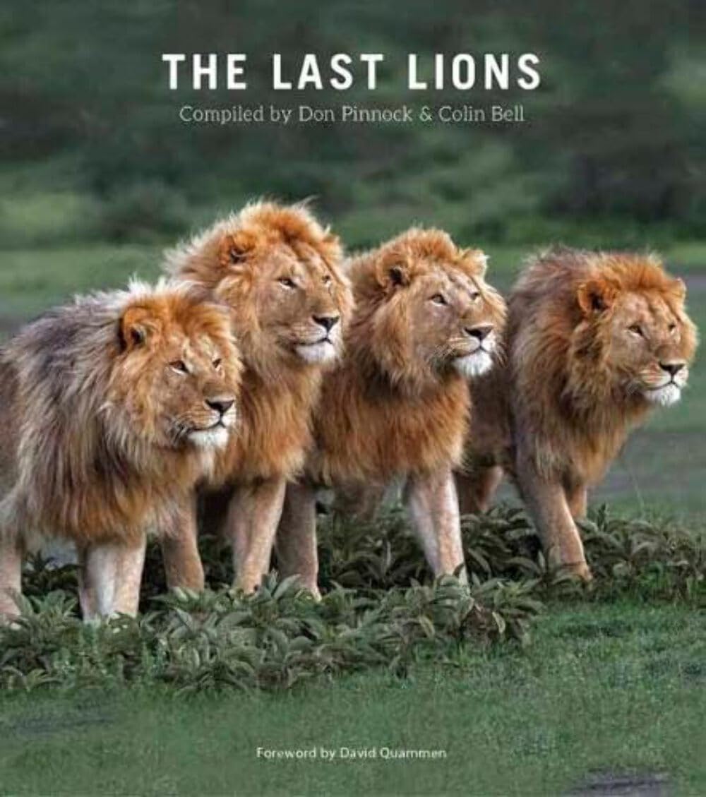 The Last Lions by Colin Bell (Paperback Book)