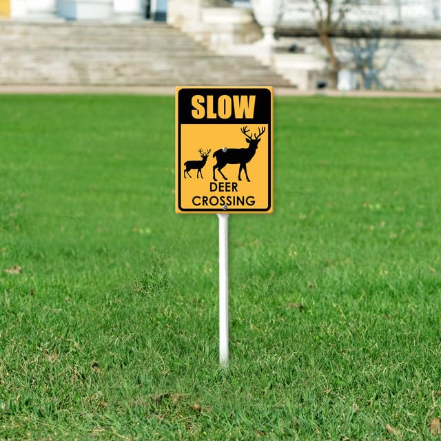 View 3