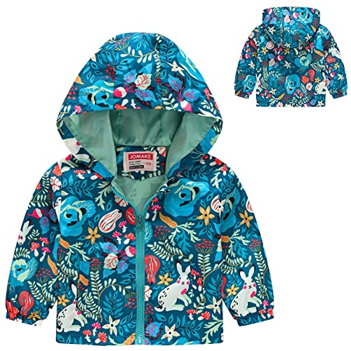 Toddler Fall Hooded Jacket Baby Boys Girls Cartoon Printed Zip Up Windproof Outerwear Coat Clothing Boys Jacket2