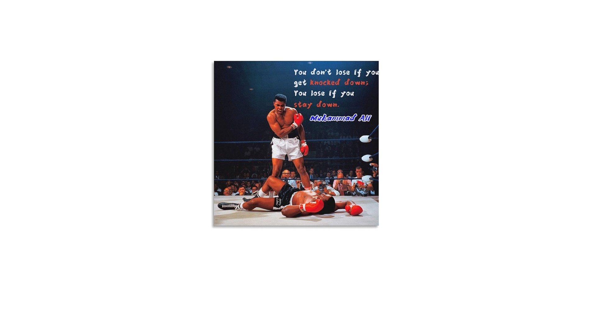 モハメッド　アリ　ＭＵＨＡＭＭＡＤ　ＡＬＩ　ＭＥＭＯＲＩＥＳ　ボクシング nippanips_9783836520676