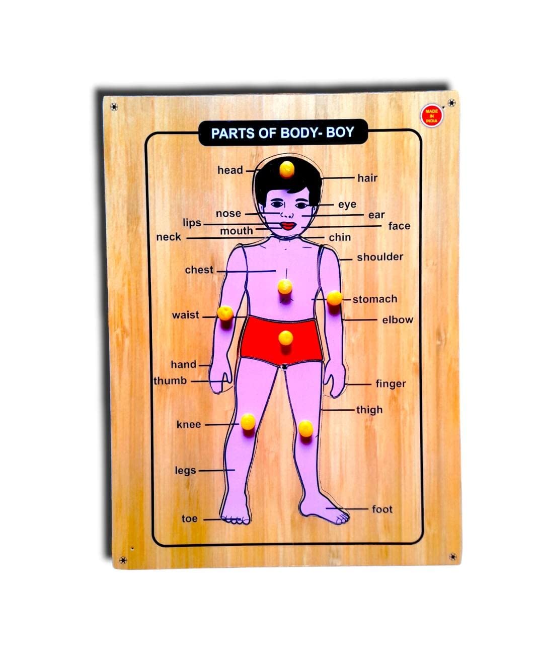 Human Body Parts Peg Puzzle Picture Learning Board for Children Educational Toy Board Game Accessories Board Game (B0CH5CWRPH) Amazon Price History, Amazon Price Tracker