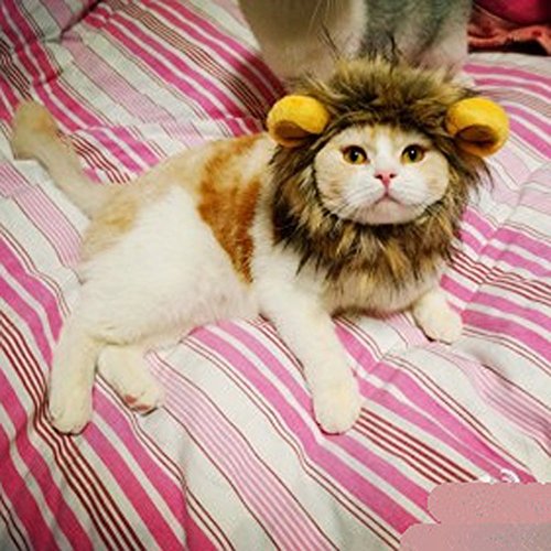 Pet Costume Lion Mane Wig For Dog Cat Halloween Dress Up With Ears (Dark Brown) #TOP6