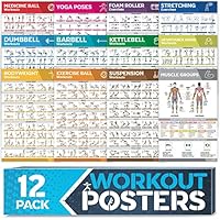 Laminiertes großes Workout-Poster-Set – perfekte Workout-Poster für das Fitnessstudio zu Hause – inkl.Übungstabellen, 12er-Set Hantel-, Yoga-Posen, Widerstandsband-, Kugelhantel-, Stretching- usw.
