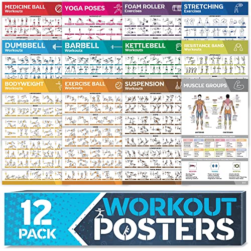 Laminiertes großes Workout-Poster-Set – perfekte Workout-Poster für das Fitnessstudio zu Hause – inkl.Übungstabellen, 12er-Set Hantel-, Yoga-Posen, Widerstandsband-, Kugelhantel-, Stretching- usw.