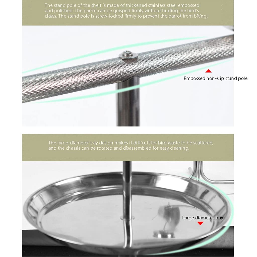 Supporto per pappagalli in acciaio inox per pappagalli medi e grandi, ideale per ara, canarino, calopsitta, inseparabili, fringuelli, pappagalli e piccoli pappagalli, espositore per gabbia per uccelli