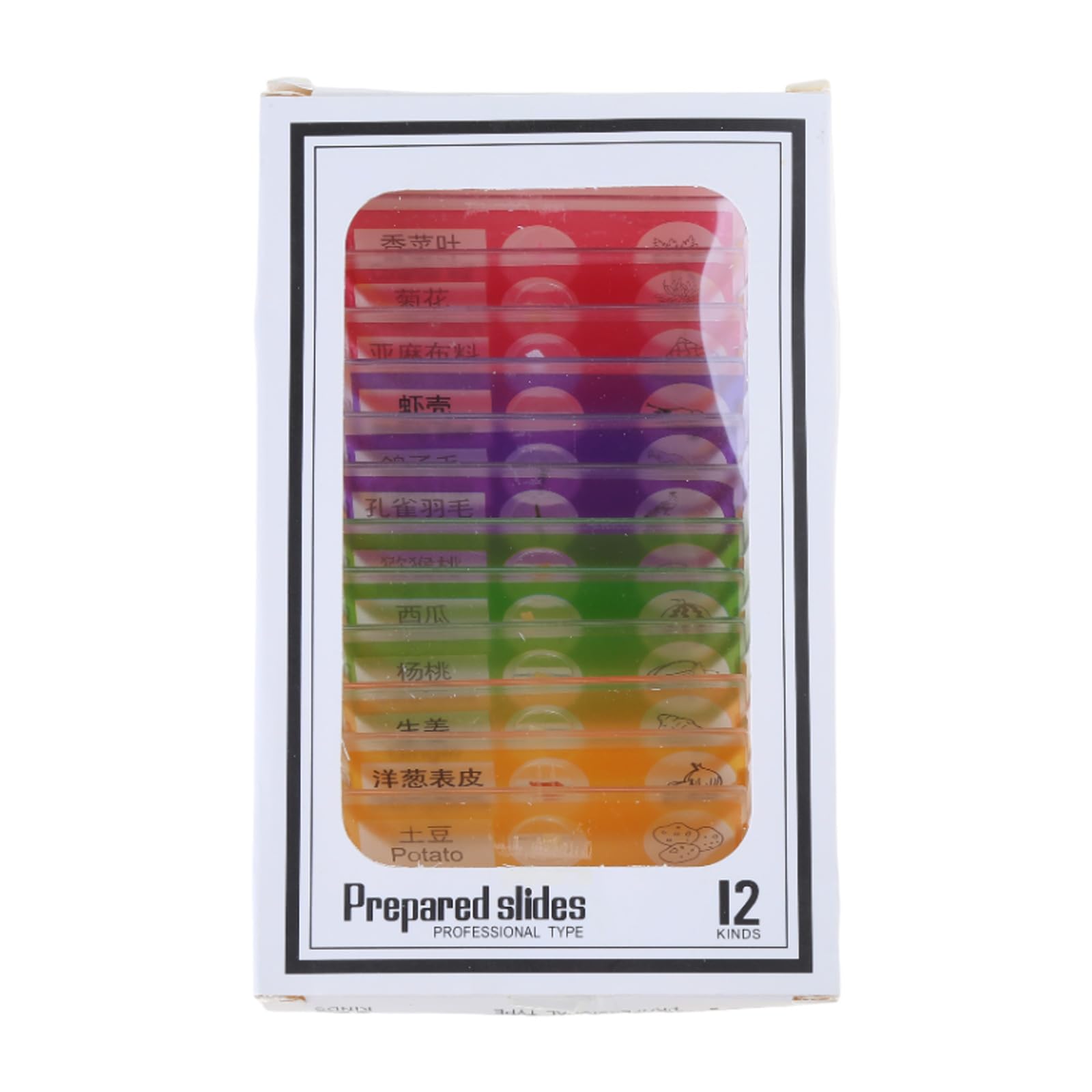 DIIOOMIEEU 12pcs for Stereo Microscopes Kids Prepared Microscope Slides of Animals Flowers Sample Specimens