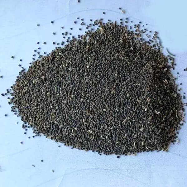 Image of Bathua Seeds, Open Pollinated, Non-GMO, 70% Germination Rate, Premium Vegetable Seeds | Sow and Grow Fresh Healthy Seed in Your Garden Perfect for Home & Terrace [Pack Of 200 Seeds].
