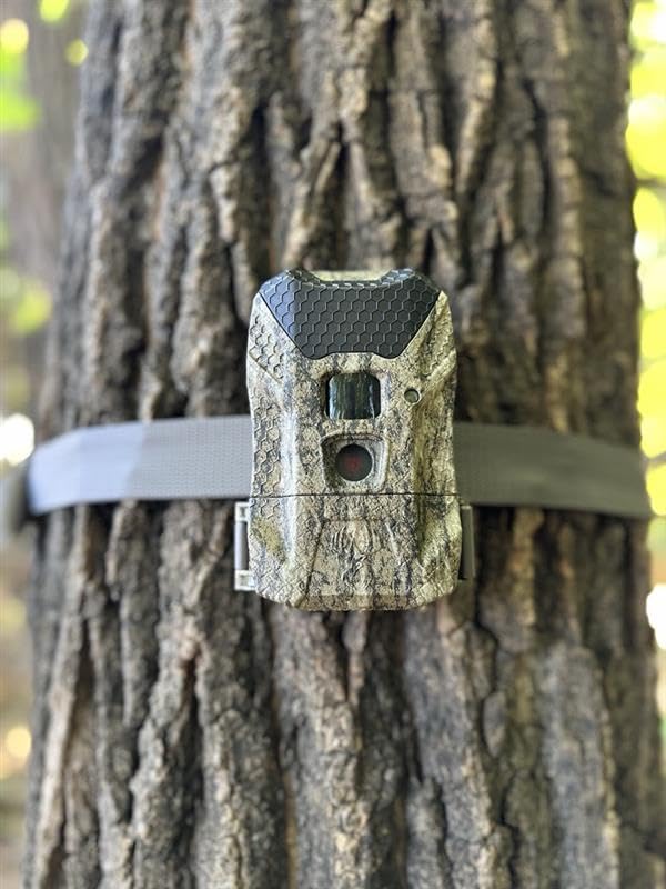 Caméra de chasse Wildgame Innovations Ridgeline Wraith MO Bottomlands - 4