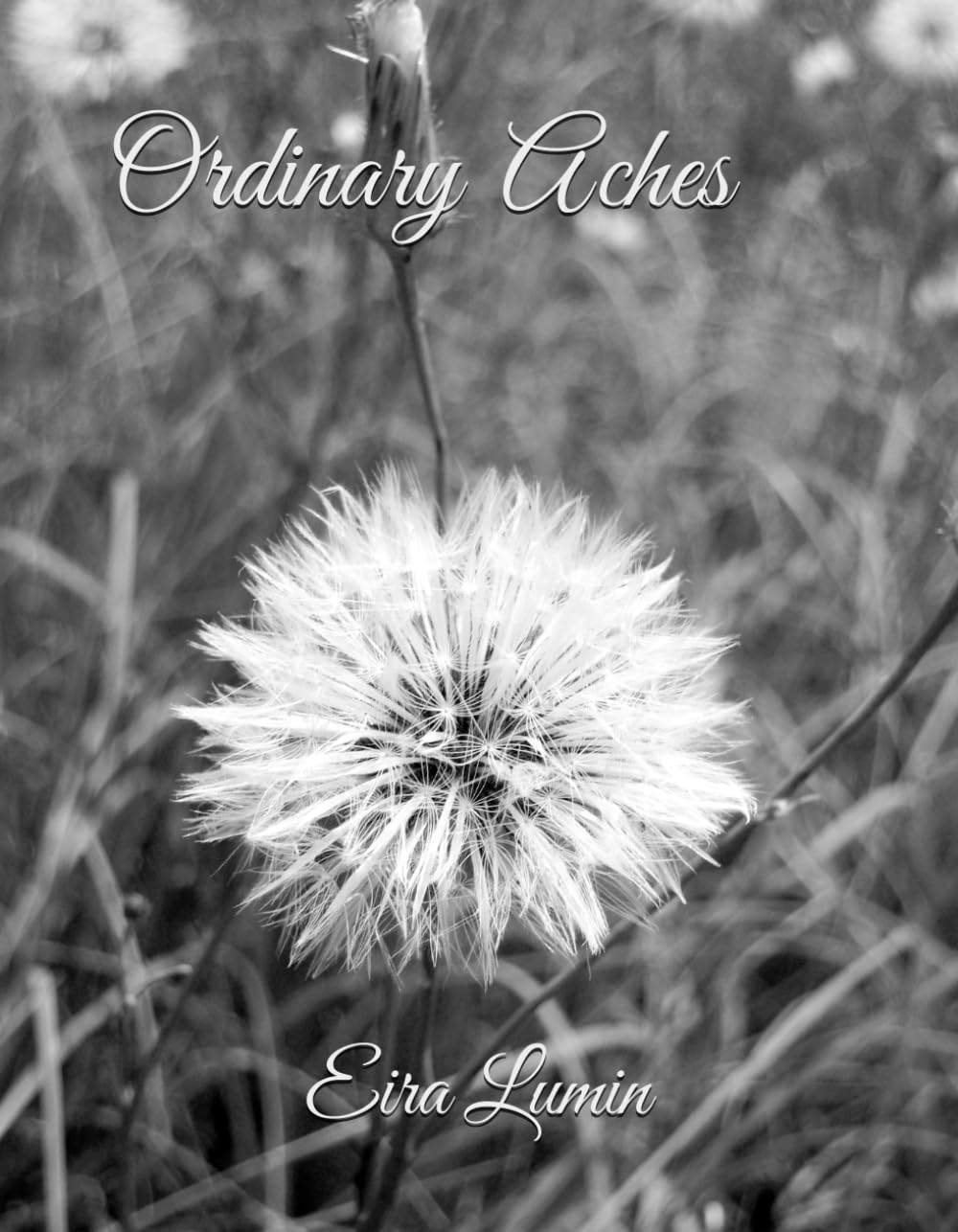 Ordinary Aches: Poems for the Life You Are Living