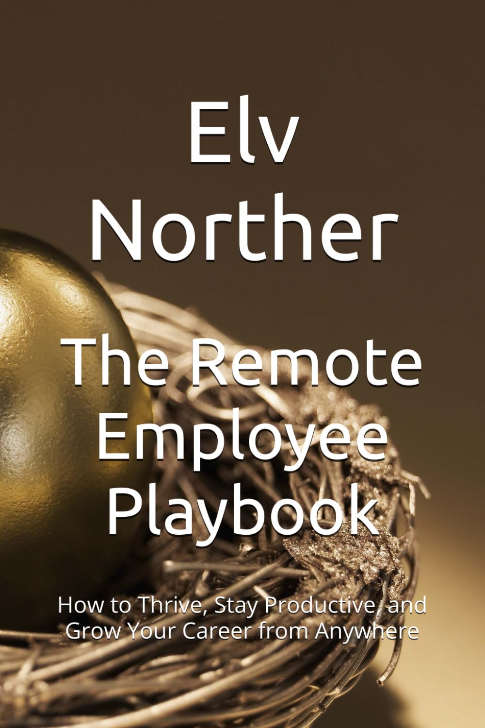 The Remote Employee Playbook: How to Thrive, Stay Productive, and Grow Your Career from Anywhere