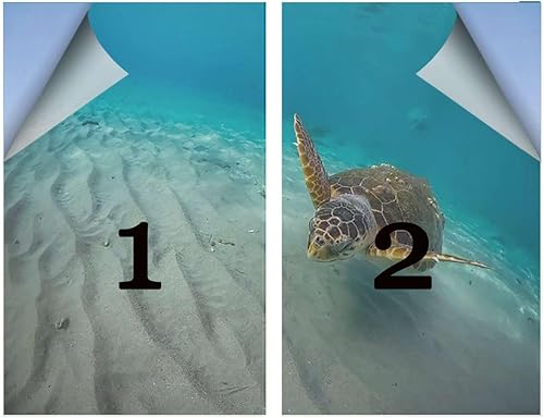 Miniatura 2 de Película de privacidad para ventana, color beige, marrón, azul, película decorativa para ventana, sin pegamento, anti-UV, no adhesiva, para