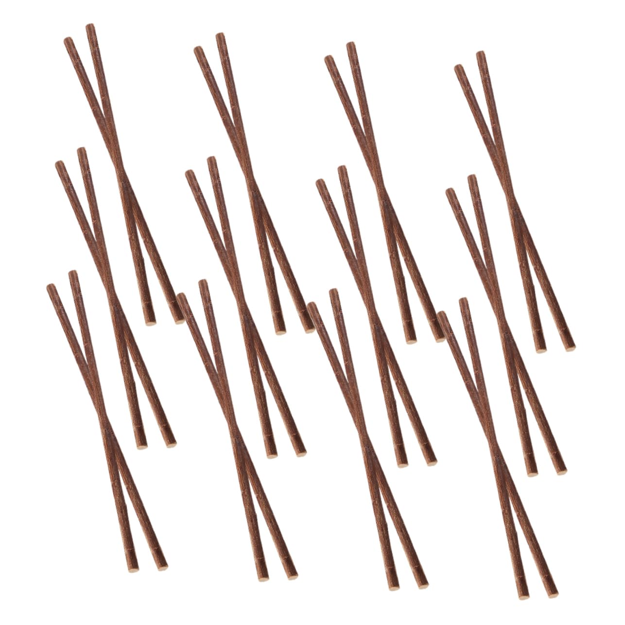 50 Pcs Branches Sèches Naturelles pour Bricolage Artisanat Loisirs Créatifs Touches Authentiques pour Activités Familiales