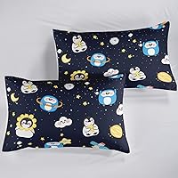 Vista 140 de CVHOUSE Juego de ropa de cama con diseño de panda, juego de edredón individual con panda y 2 fundas de almohada, lindo juego de colcha kawaii